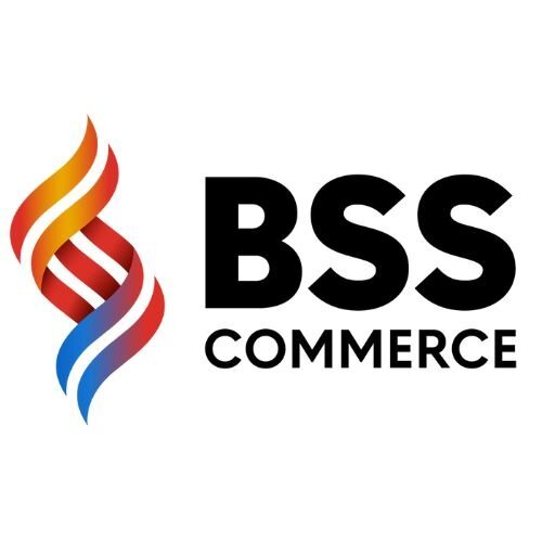 bss logo.